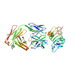 BU of 5sx4 by Molmil