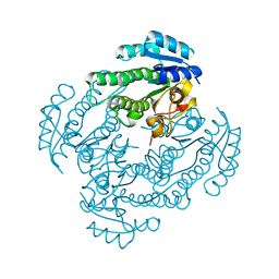 BU of 5t2v by Molmil