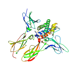 BU of 5t5w by Molmil