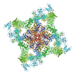 BU of 5tau by Molmil