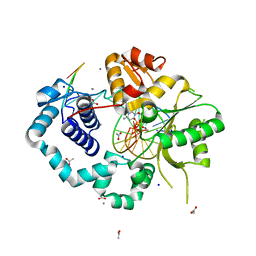 BU of 5tb8 by Molmil