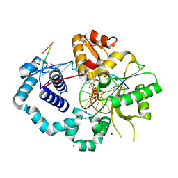 BU of 5tb9 by Molmil