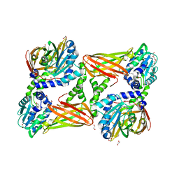 BU of 5tbi by Molmil