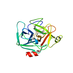 BU of 5tca by Molmil