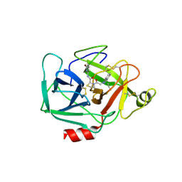 BU of 5tcc by Molmil