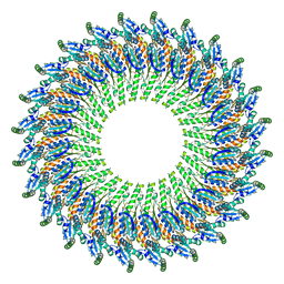 BU of 5tcp by Molmil