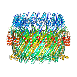 BU of 5tcq by Molmil