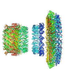 BU of 5tcr by Molmil