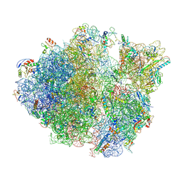 BU of 5tcu by Molmil