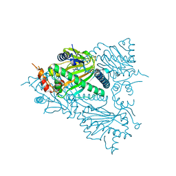 BU of 5tcv by Molmil