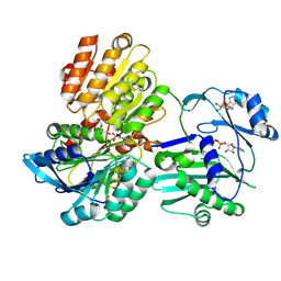 BU of 5tdm by Molmil