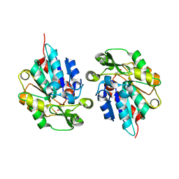 BU of 5tdx by Molmil