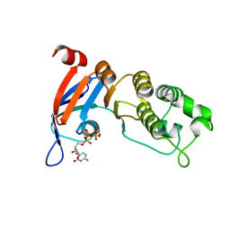 BU of 5tfd by Molmil