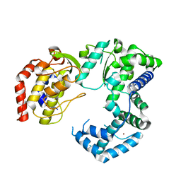 AU of 5tit by Molmil