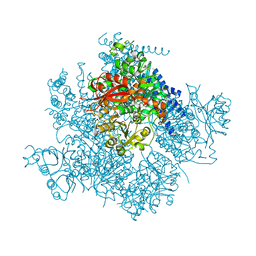 BU of 5tj6 by Molmil