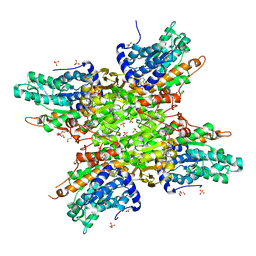 BU of 5tj9 by Molmil