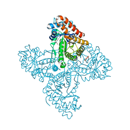 BU of 5tjs by Molmil