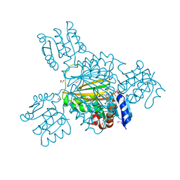 BU of 5tjy by Molmil