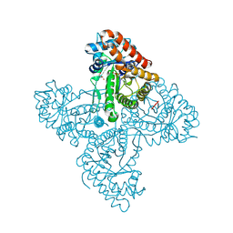 BU of 5tkc by Molmil