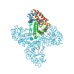 BU of 5tkc by Molmil