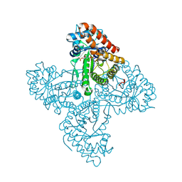 BU of 5tkl by Molmil