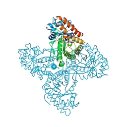 BU of 5tkp by Molmil