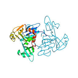 BU of 5tkw by Molmil