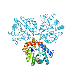 BU of 5tnv by Molmil