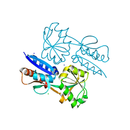 BU of 5tpi by Molmil