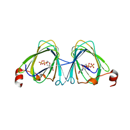 BU of 5tpu by Molmil