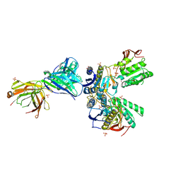 BU of 5tq0 by Molmil