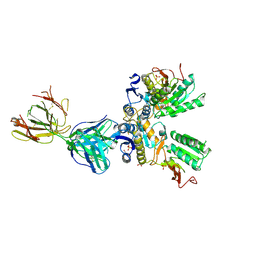 BU of 5tq2 by Molmil