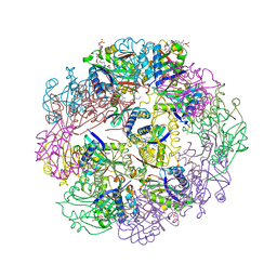 BU of 5trl by Molmil