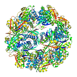 BU of 5trm by Molmil