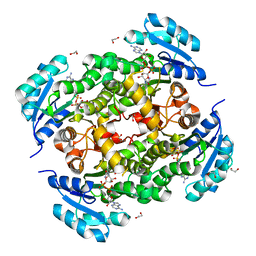 BU of 5trt by Molmil