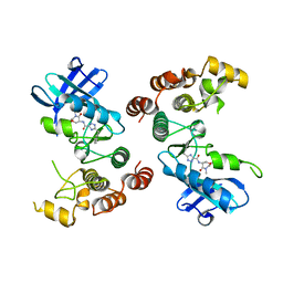 BU of 5tx5 by Molmil