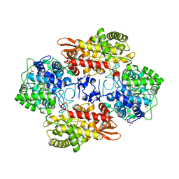 BU of 5txq by Molmil