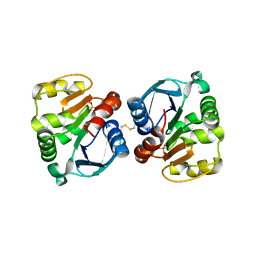 BU of 5txw by Molmil