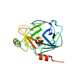 AU of 5tz9 by Molmil