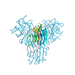 AU of 5u37 by Molmil