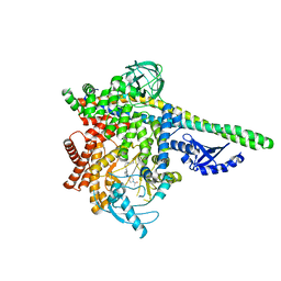 BU of 5ubt by Molmil