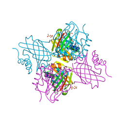 BU of 5uc0 by Molmil