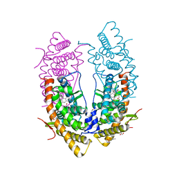 BU of 5uc3 by Molmil