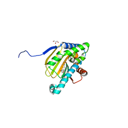 BU of 5uc4 by Molmil