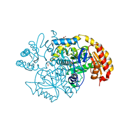 BU of 5uc7 by Molmil