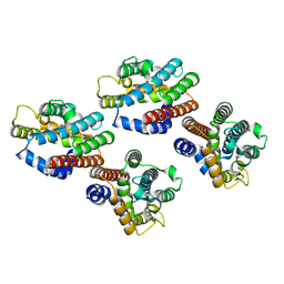 AU of 5uc8 by Molmil