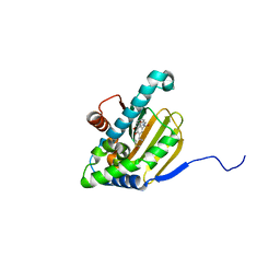 BU of 5uci by Molmil