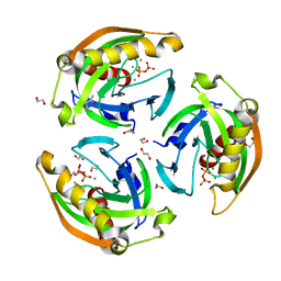 BU of 5ucq by Molmil