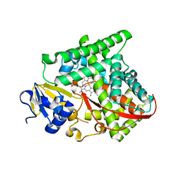 BU of 5ucw by Molmil