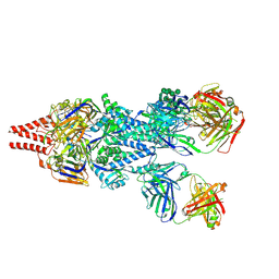 BU of 5udc by Molmil